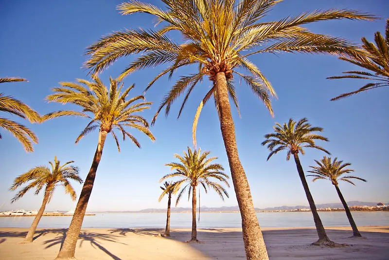 Mll Caribbean Bay Hotel El Arenal  3*, El Arenal (Mallorca) Spain