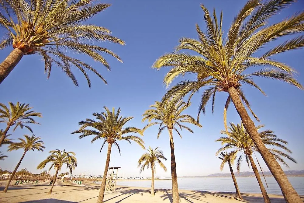 Mll Caribbean Bay Hotel El Arenal   El Arenal (Mallorca)